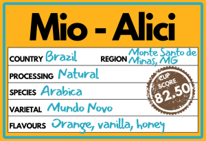 Mio Alici