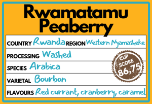 Rwamatamu Peaberry