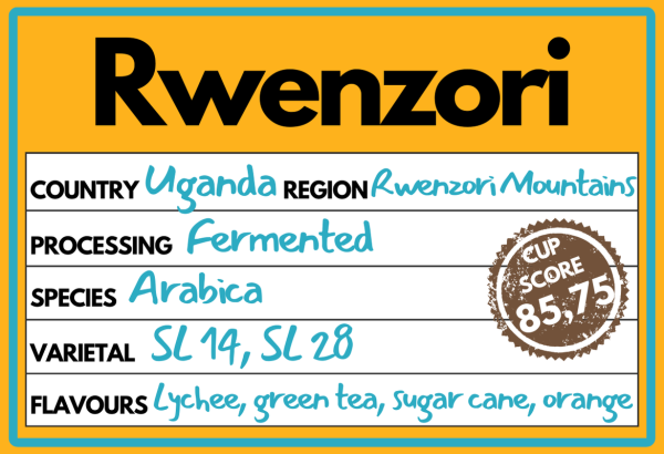 Rwenzori