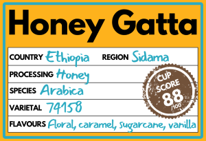 Honey Gatta
