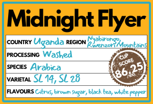 Midnight Flyer