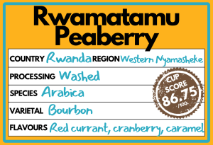 Rwamatamu Peaberry